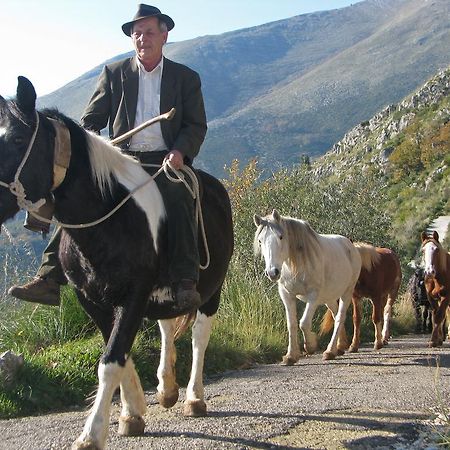 Vila Il Nido Dei Gemelli Formia Exteriér fotografie