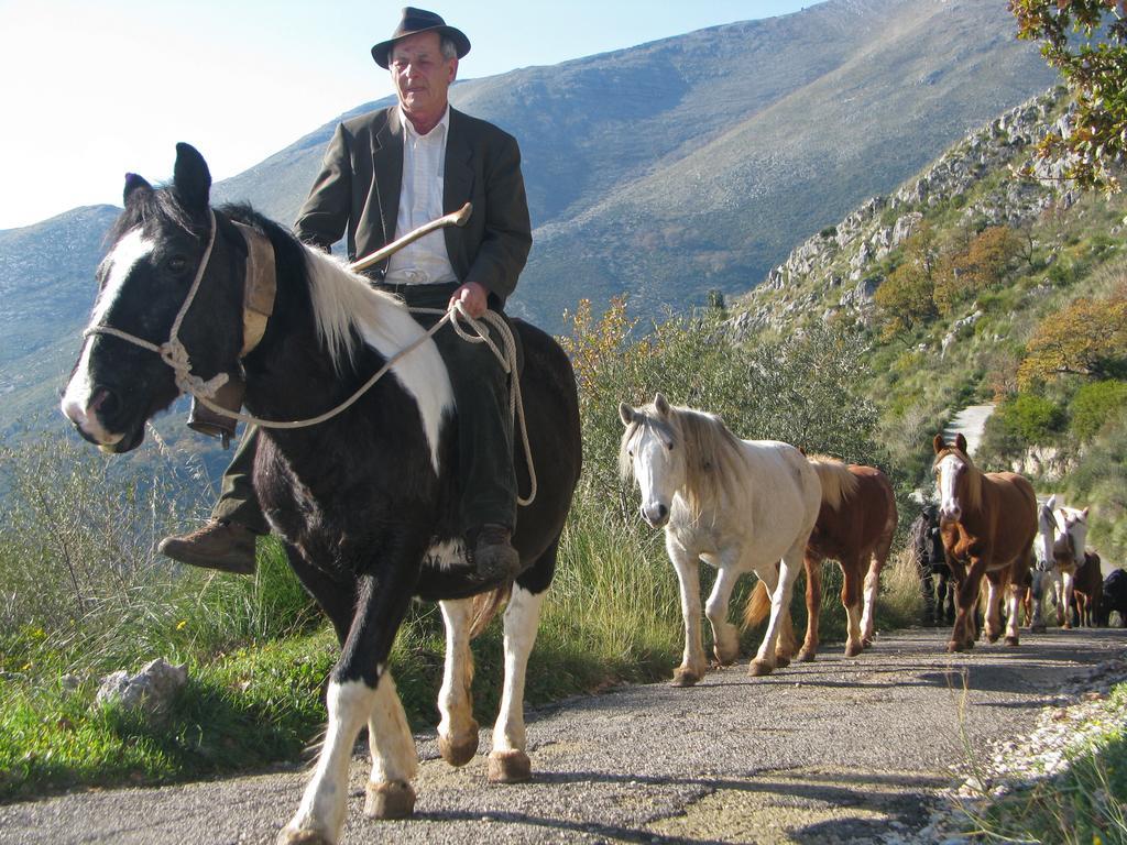 Vila Il Nido Dei Gemelli Formia Exteriér fotografie
