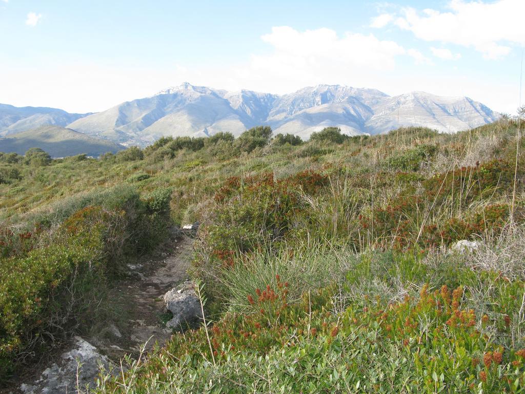 Vila Il Nido Dei Gemelli Formia Exteriér fotografie